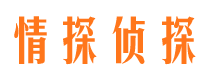 靖江侦探公司